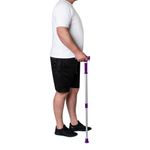 BC1701-Bengala-Tipo-T-com-Apoio-Lilas-2