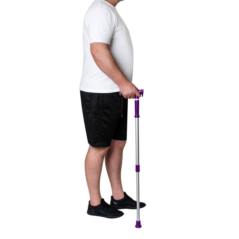 BC1701-Bengala-Tipo-T-com-Apoio-Lilas-2